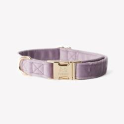 Obroża velvet lilac S FURLOU