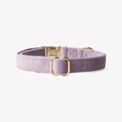 Obroża velvet lilac M FURLOU