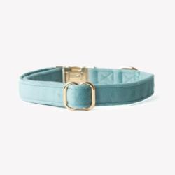 Obroża velvet blue S FURLOU
