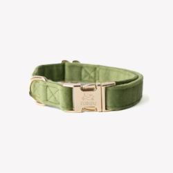 Obroża velvet green M FURLOU