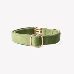 Obroża velvet green M FURLOU