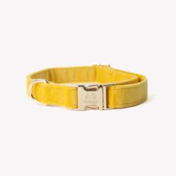 Obroża velvet yellow S FURLOU