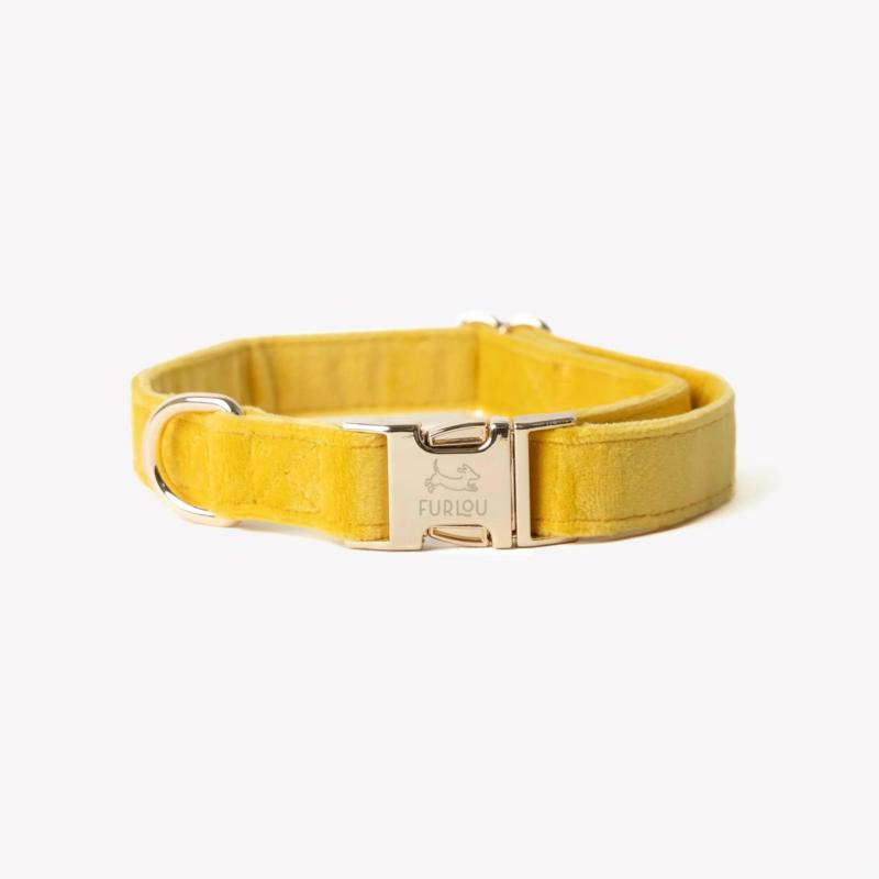Obroża velvet yellow S FURLOU