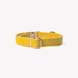 Obroża velvet yellow M FURLOU
