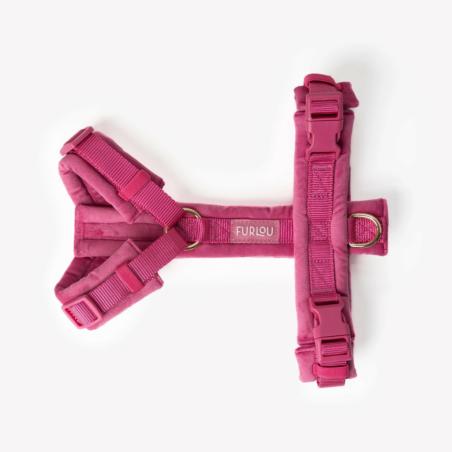 Szelki velvet guard magenta XS FURLOU