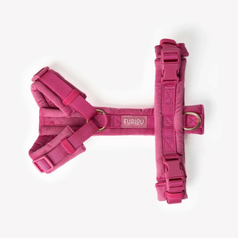 Szelki velvet guard magenta M FURLOU