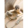 Foczka zabawka soft blush FUZZYARD