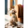Obroża dla psa z wegańskiej skóry rozm.M  33-55cm Mirtowa zieleń Life Atelier FUZZYARD