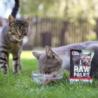 Karma mokra dla kotów dorosłych           i sterylizowanych wołowina 100 g RAW PALEO