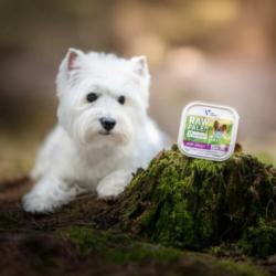 Karma mokra dla psów dorosłych            jagnięcina 150 g RAW PALEO PATE MINI