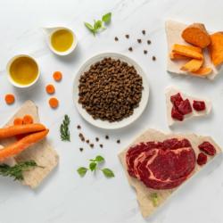 Karma sucha dla psów dorosłych ras        małych wołowina 2 kg RAW PALEO ULTRA