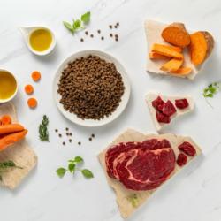 Karma sucha dla szczeniąt ras małych      wołowina 2 kg RAW PALEO ULTRA