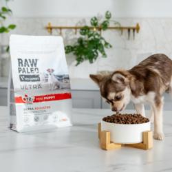 Karma sucha dla szczeniąt ras małych      wołowina 2 kg RAW PALEO ULTRA