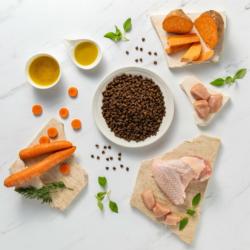 Karma sucha dla szczeniąt ras małych      indyk 2 kg RAW PALEO ULTRA