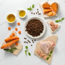Karma sucha dla szczeniąt ras średnich    i dużych indyk 2 kg RAW PALEO ULTRA