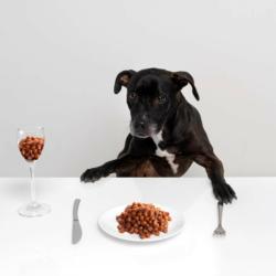 Candy Rolls z Królika i Dorsza dla psów   i kotów 150g PETLOVER
