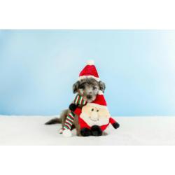 Okrągły Święty Mikołaj ZIPPY PAWS