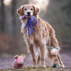 Ośmiornica Leia pluszowa zabawka          z piszczałką MAX&MOLLY