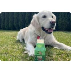 Zupa dla psa z łososiem 280 g DOGTAIL