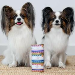 Karma mokra Królik z marchewką –          monobiałkowa formuła psy dorosłe 800 g PERRO