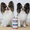 Karma mokra Królik z marchewką –          monobiałkowa formuła psy dorosłe 800 g PERRO