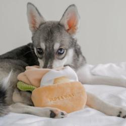 Pita z jajkiem zabawka węchowa PUPS&BUBS