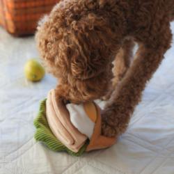 Pita z jajkiem zabawka węchowa PUPS&BUBS