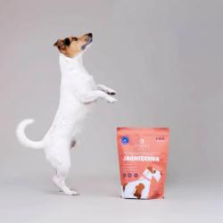 Karma sucha tłoczona na zimno -           jagnięcina - psy dorosłe średnie i duże rady 9 kg PERRO