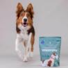 Karma sucha tłoczona na zimno -           dziczyzna - psy dorosłe średnie i duże rasy 1 kg PERRO